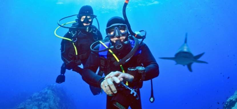 Two divers in the water and with a shark behind them ready to attack.