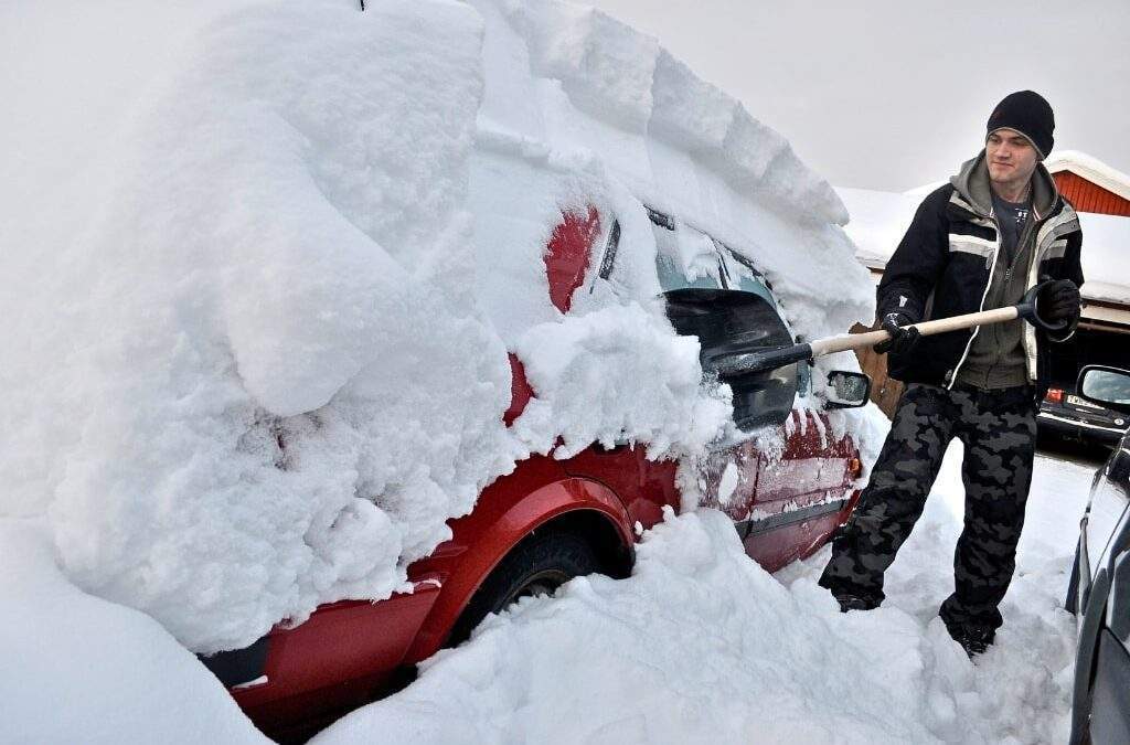 How to Survive a Blizzard