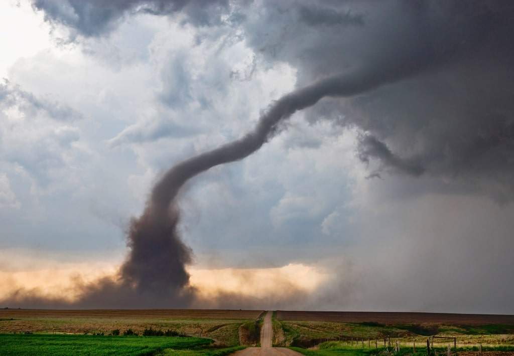 A tornado is just one of many real life survival scenarios.