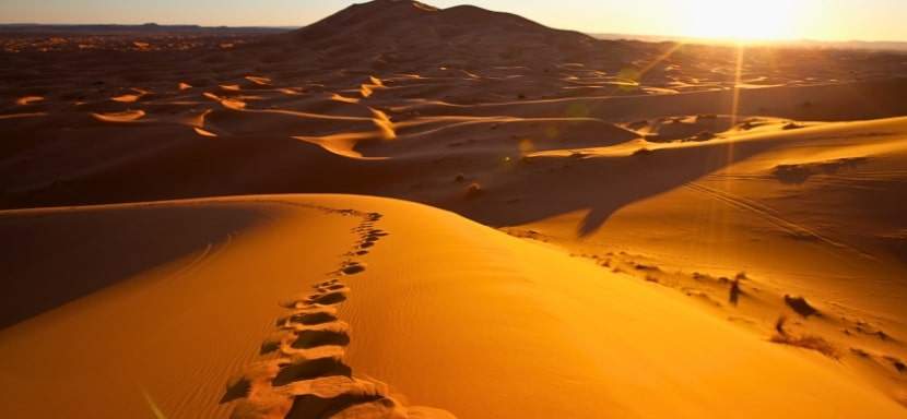 Survivor foot steps in the desert sand.