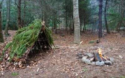 How to Build a Survival Shelter in the Wild
